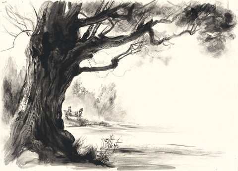 By the pond