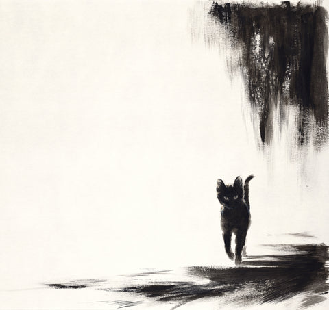 Moonlit cat