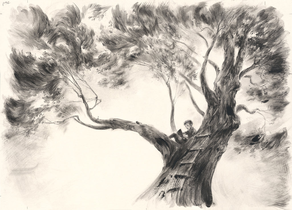 Reading in the beech tree