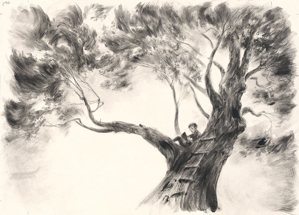 Reading in the beech tree