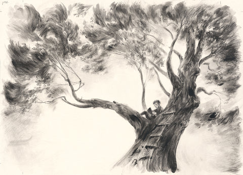 Reading in the beech tree