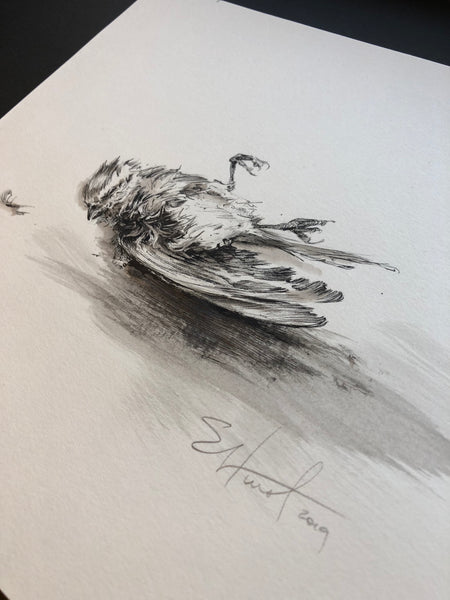 What Monster left behind