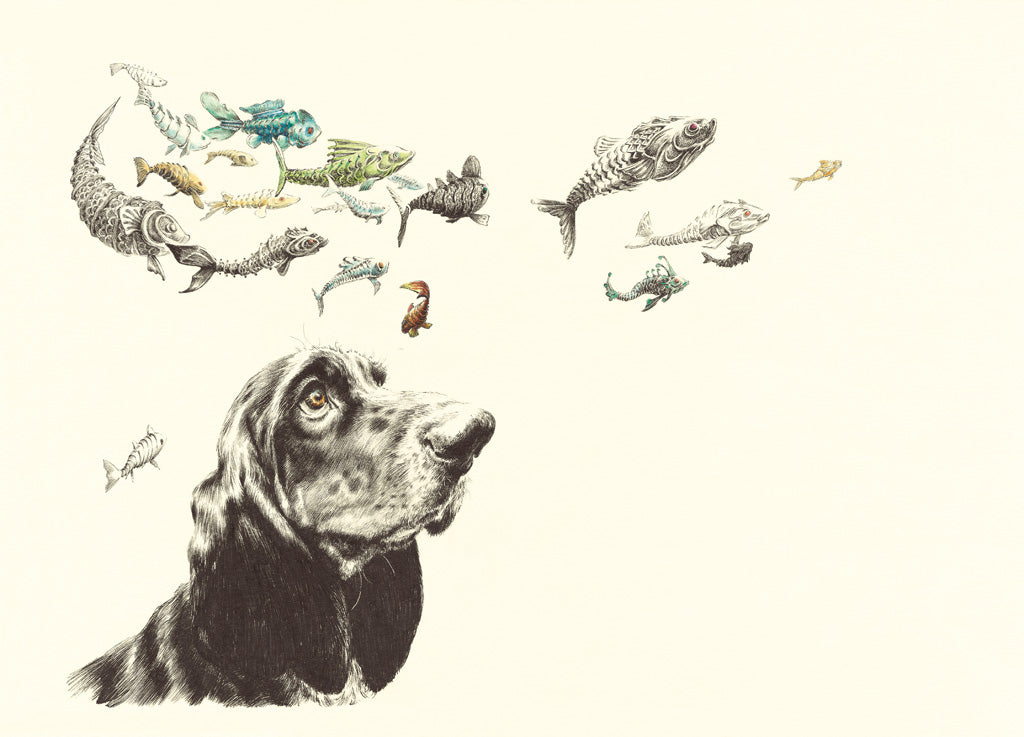 Dog and Fish