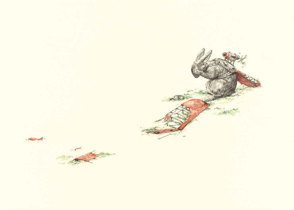 Rabbit Flier Down