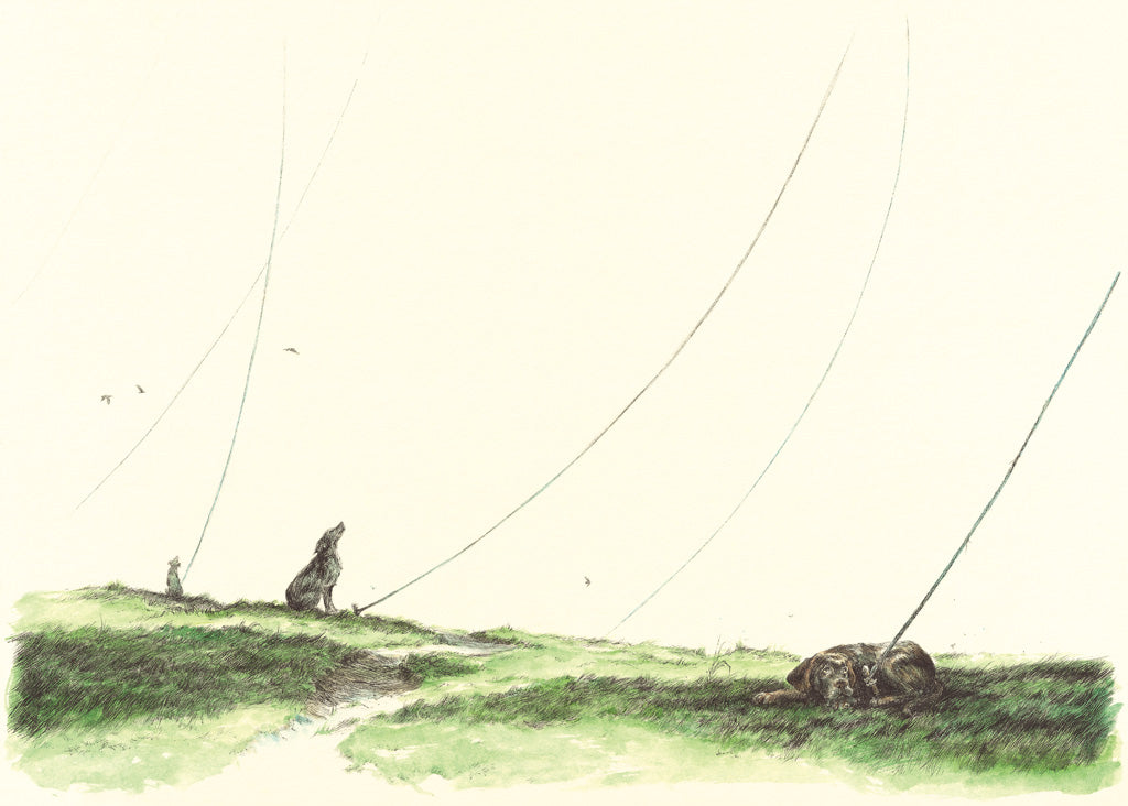 Dog Ropes