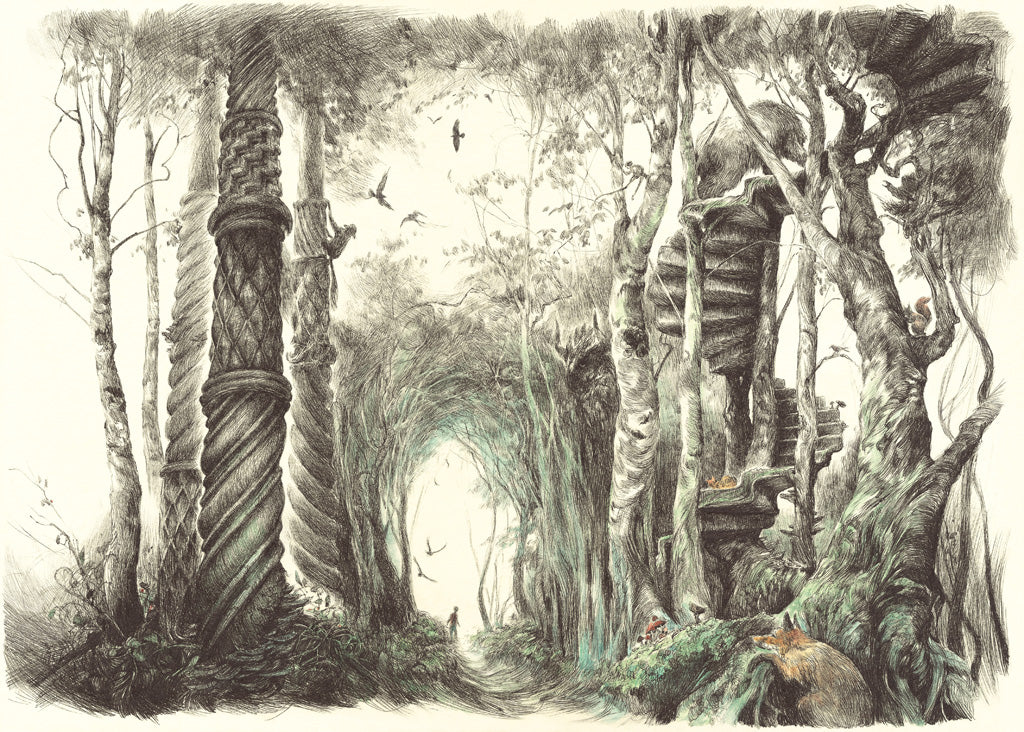 Print of Forest Path