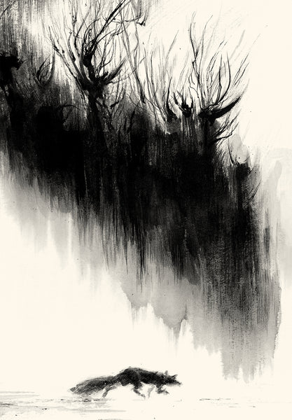 The Fox